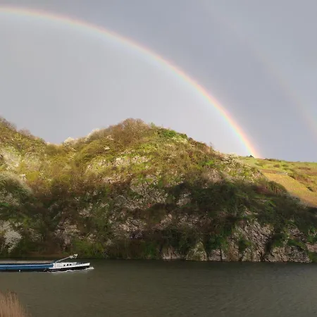 Alt Reinsport Hotel Piesport