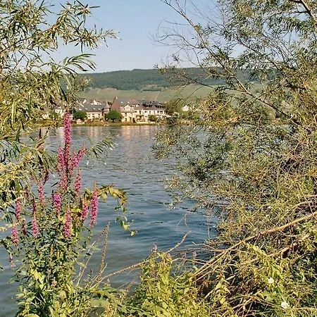 Alt Reinsport Hotel Piesport