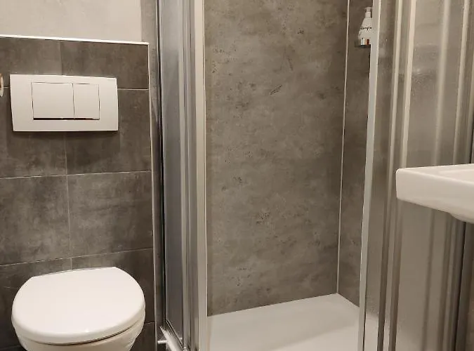 מלון Alt Reinsport *