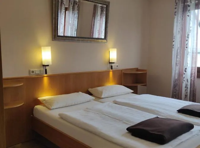 Alt Reinsport * פיספורט