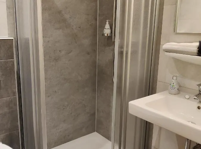 Alt Reinsport מלון