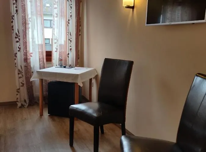 Alt Reinsport מלון *