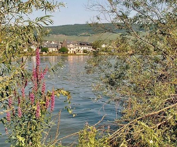 Alt Reinsport מלון פיספורט