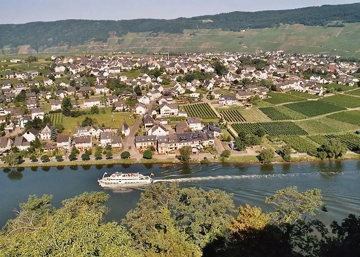 Alt Reinsport פיספורט