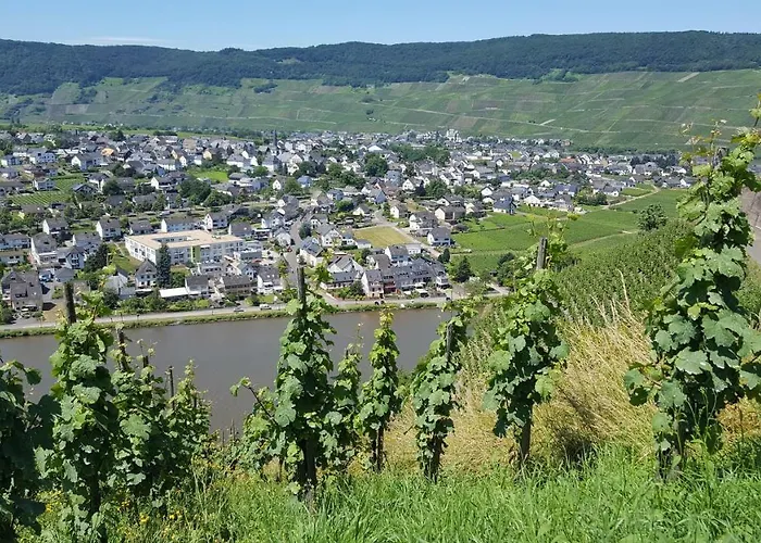 Alt Reinsport * פיספורט