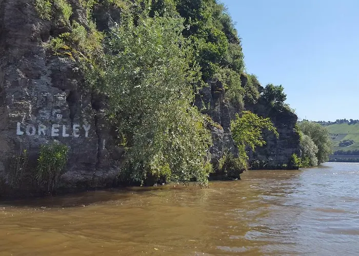 מלון Alt Reinsport פיספורט